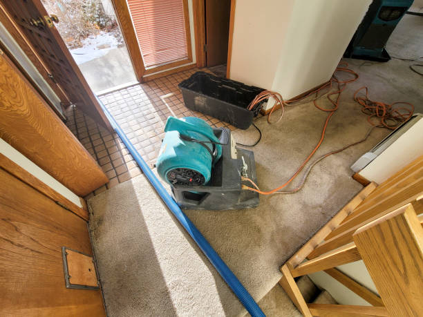 Best 24/7 water damage repair  in Vilge St George, LA