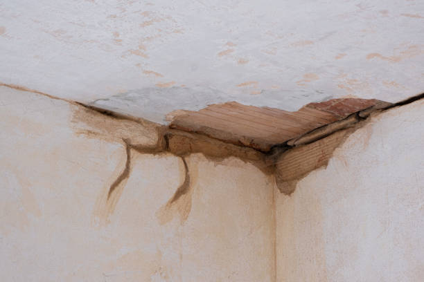 Best Flood damage cleanup  in Vilge St George, LA