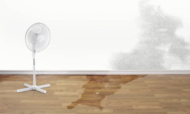 Best Flood restoration services  in Vilge St George, LA