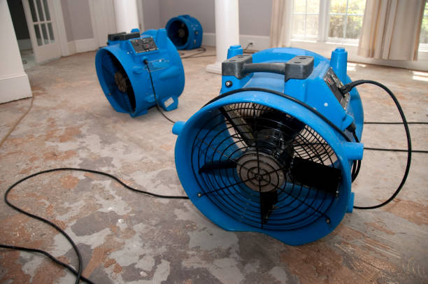 Best 24/7 water damage repair  in Vilge St George, LA
