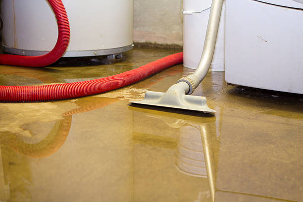 Best Ceiling water damage repair  in Vilge St George, LA