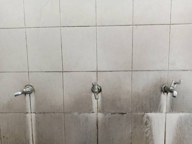 Best Mold removal after water damage  in Vilge St George, LA