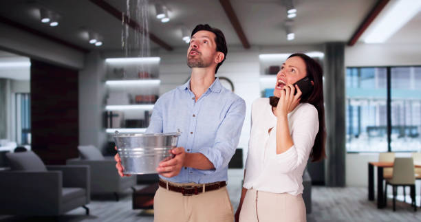 Water damage restoration experts in LA