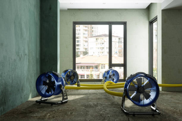 Best Water damage restoration experts  in Vilge St George, LA