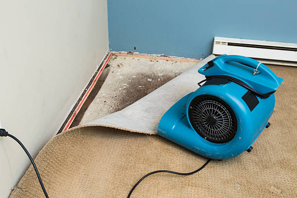 24/7 water damage repair in LA